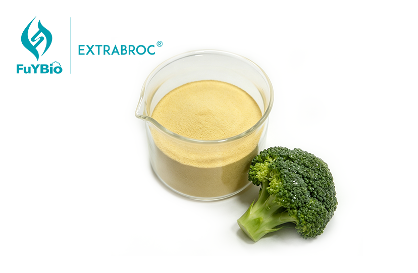 Broccoli Seed Extractives